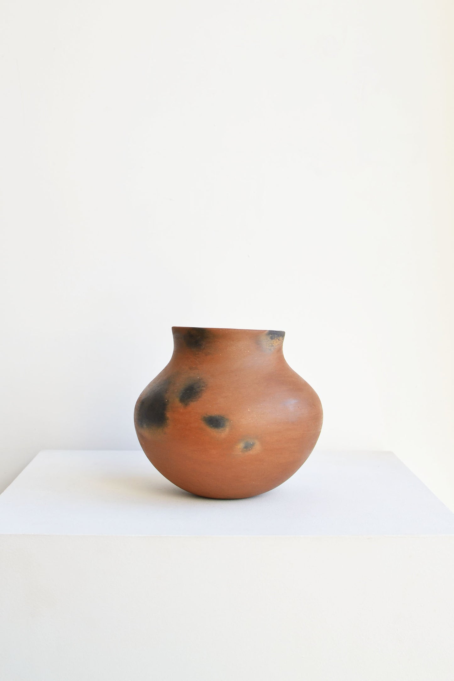 Daria Mariscal - Olla