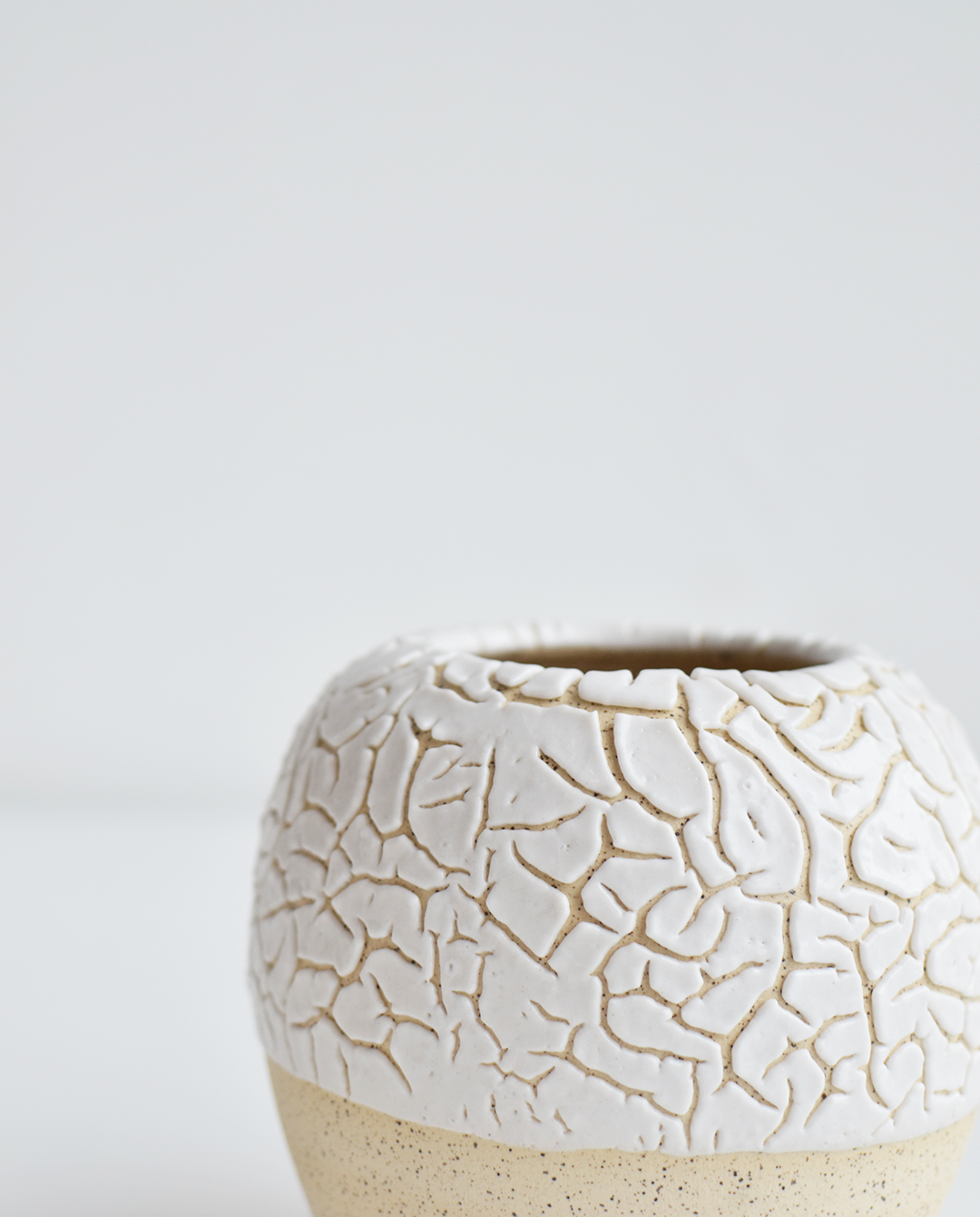 Juan Villavicencio Vasilla Fracura No. 2