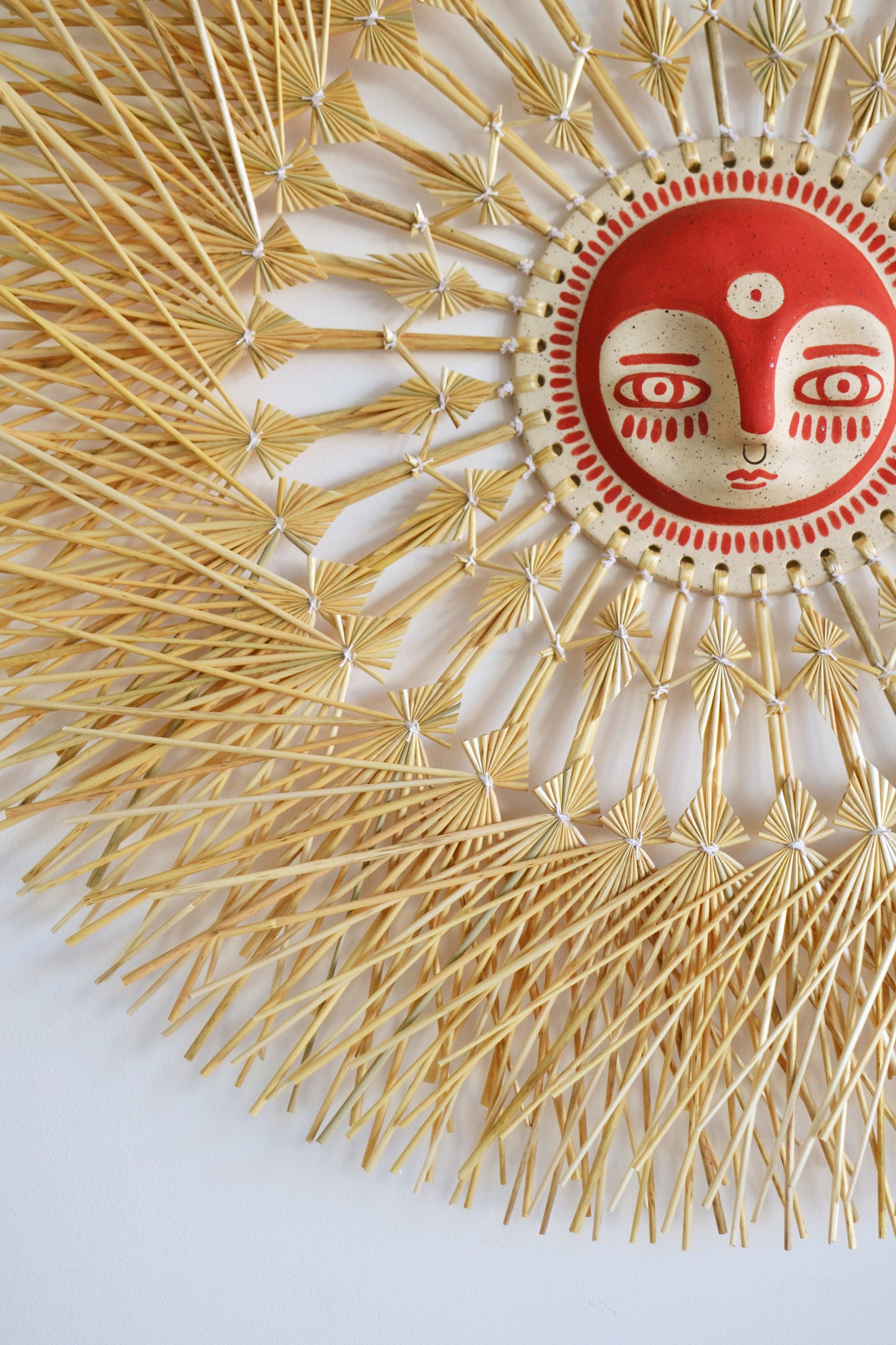 Perro y Arena - Solecito