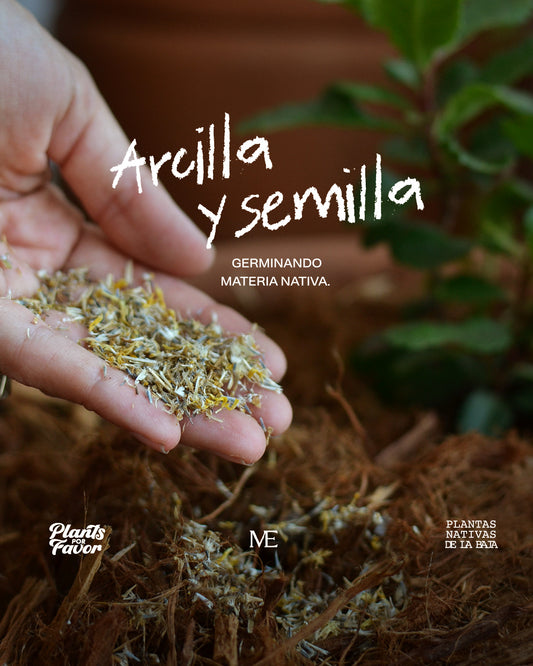 ARCILLA Y SEMILLA