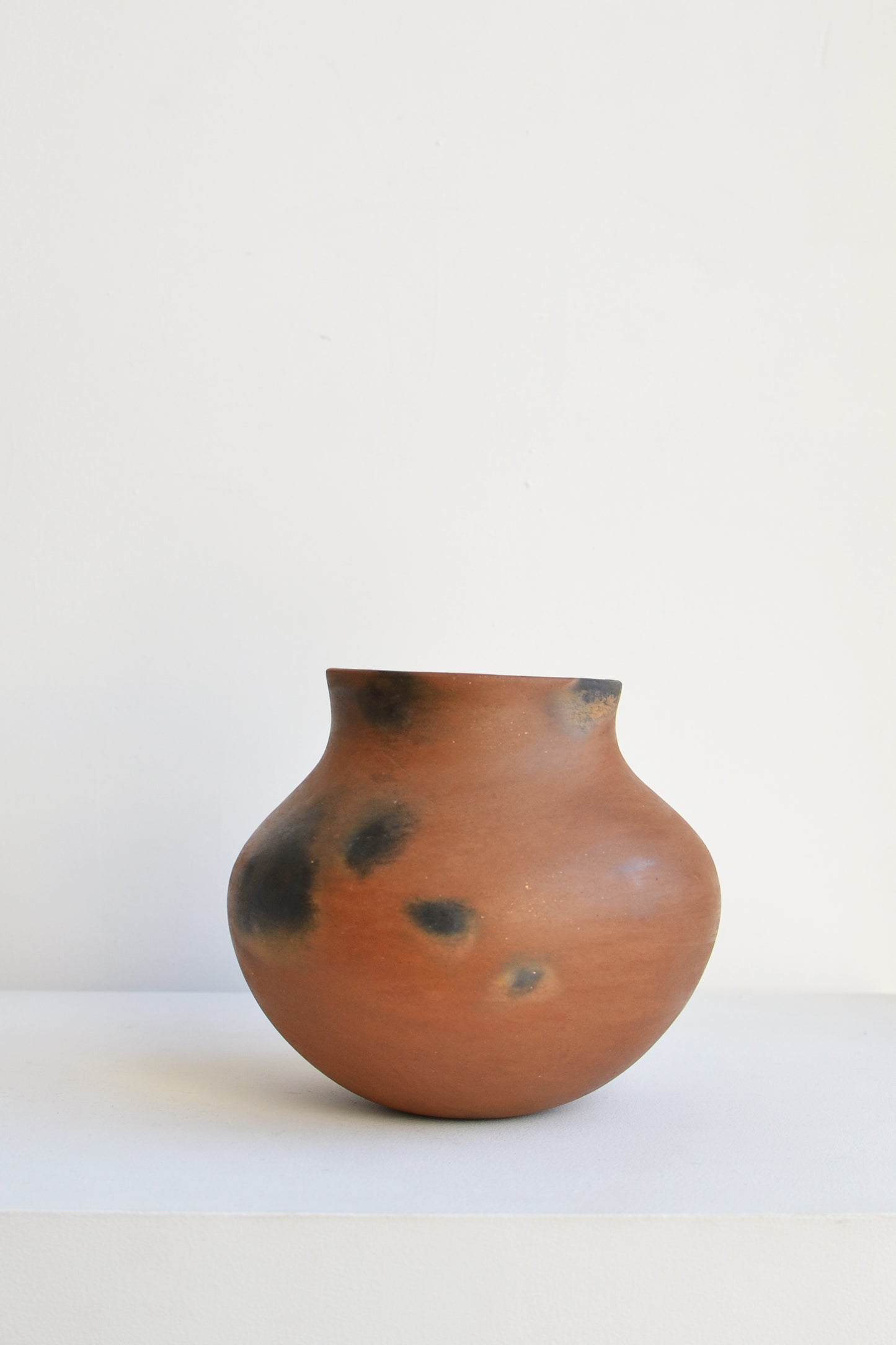 Daria Mariscal - Olla