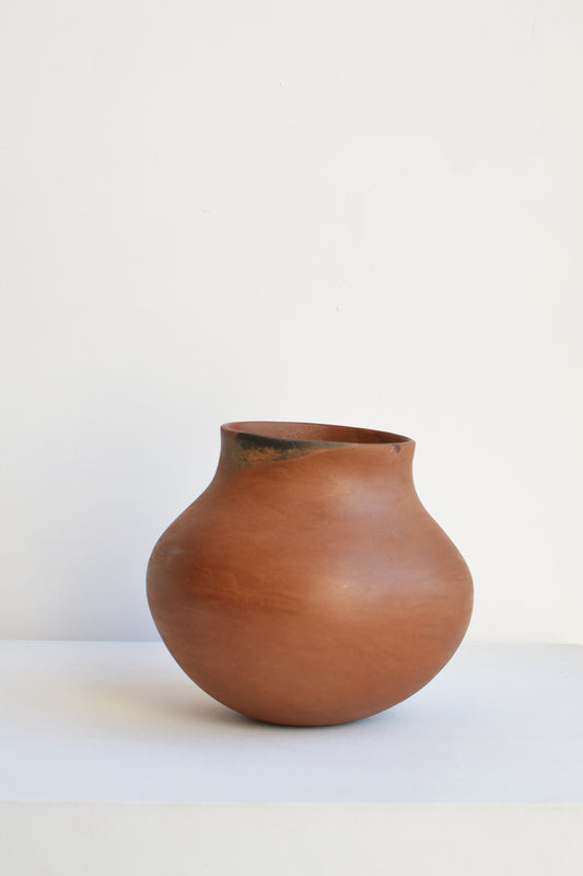 Daria Mariscal - Olla