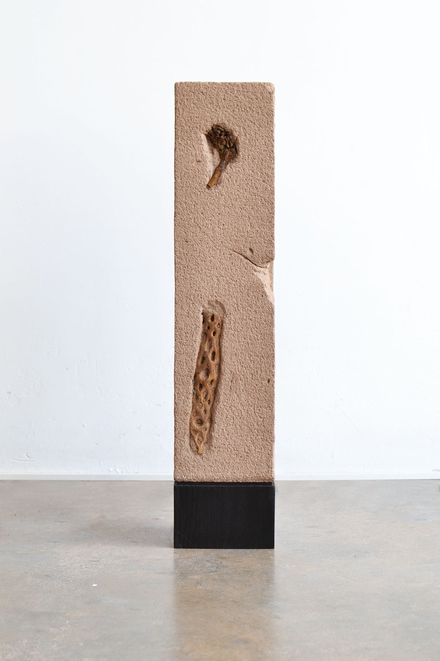 Laura Huerta + Gael Guerrero "Bodies of memory" Living fragments