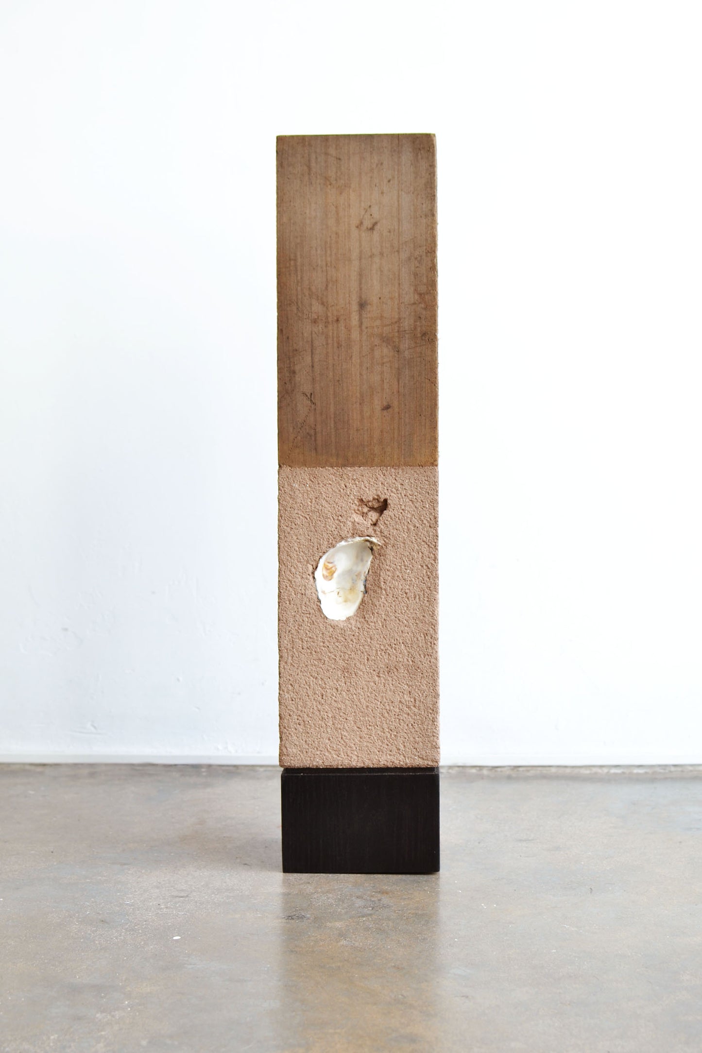 Laura Huerta + Gael Guerrero "Bodies of memory" Living fragments
