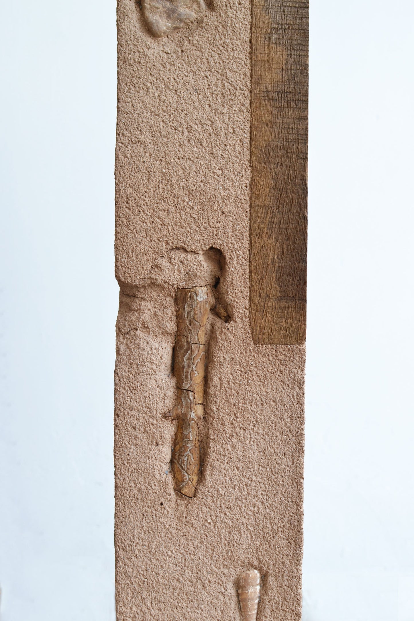 Laura Huerta + Gael Guerrero "Bodies of memory" Living fragments