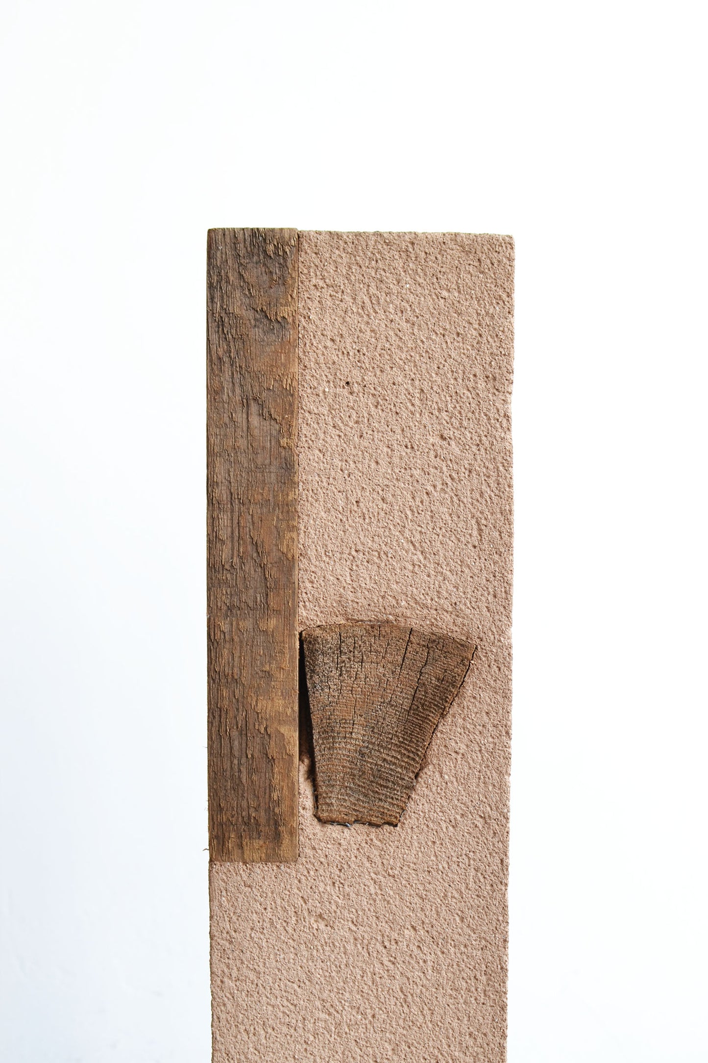 Laura Huerta + Gael Guerrero "Bodies of memory" Living fragments