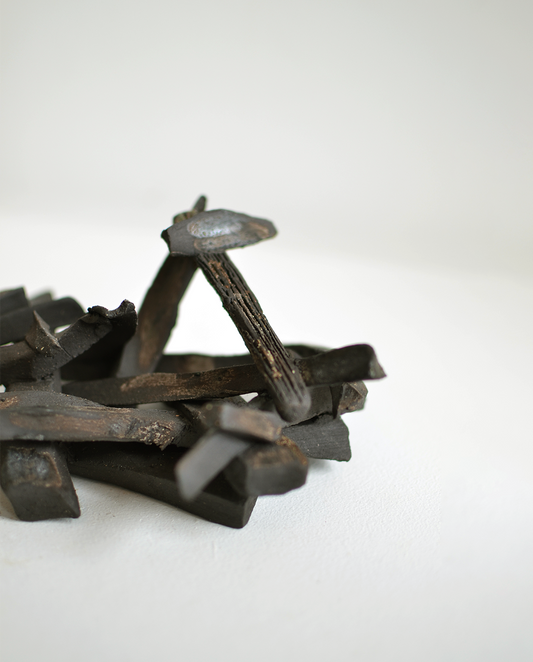 Cassandra Cerón Casa de Madera