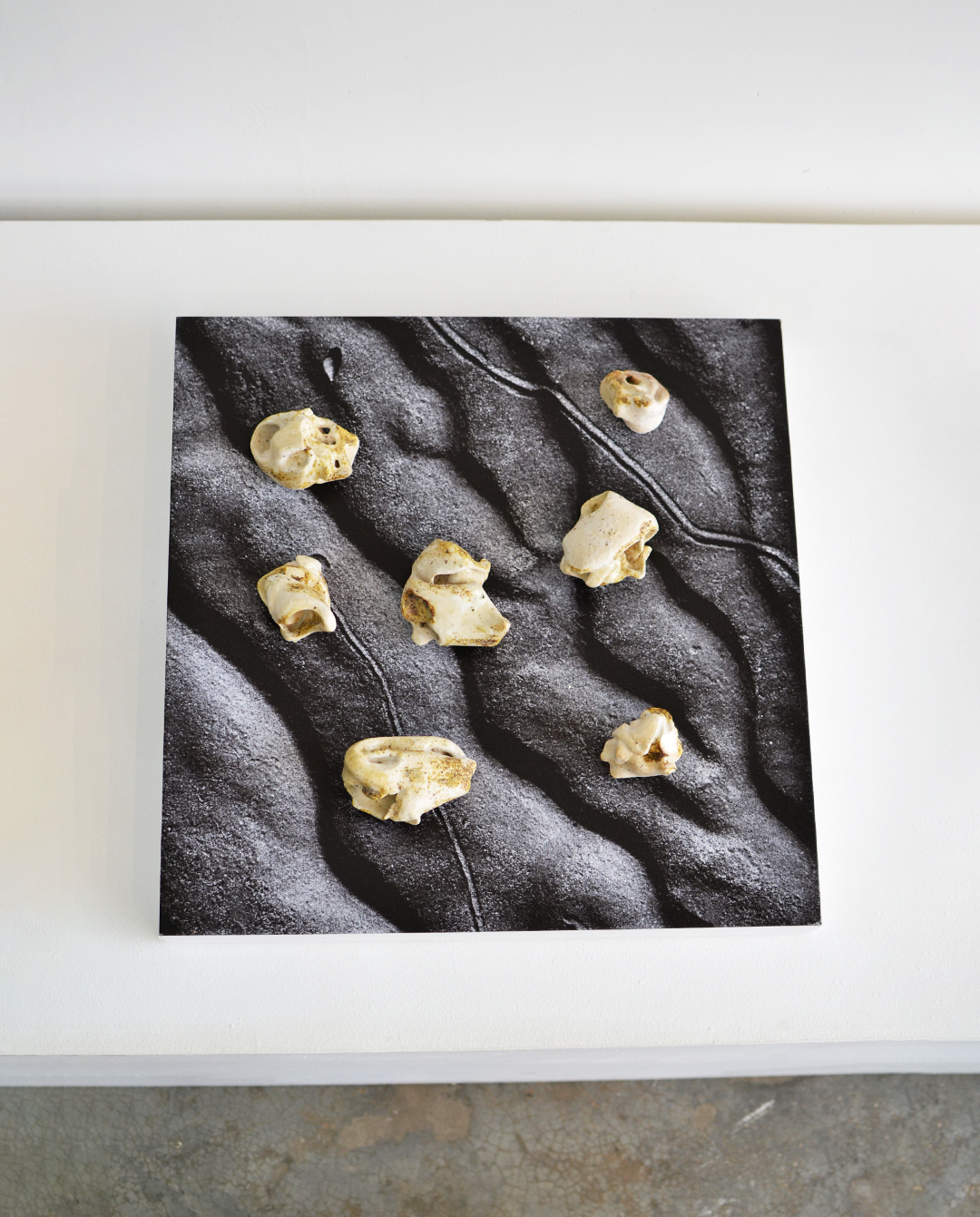 Cassandra Cerón - La Médula