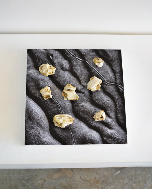 Cassandra Cerón - La Médula