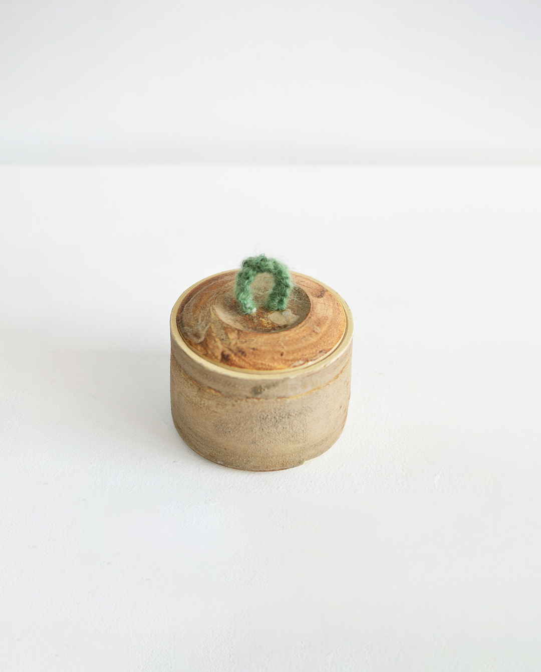 Giselle Riestra Contenedor Tierra