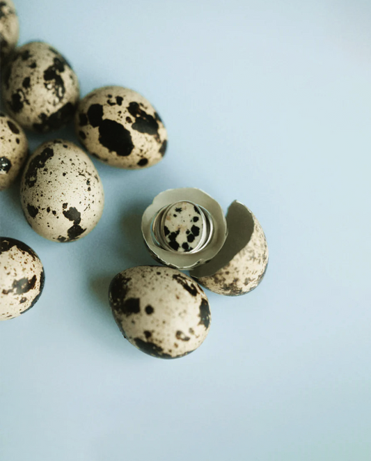 Odissea Anillo Jaspe Dálmata