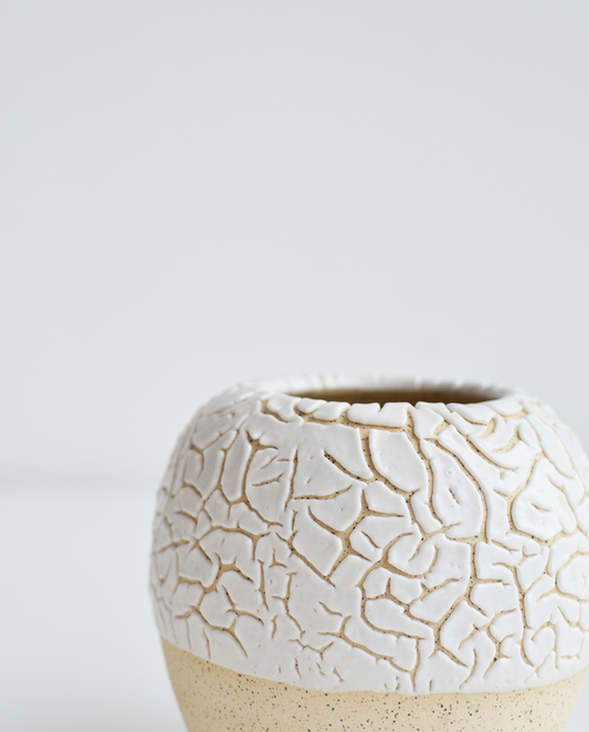 Juan Villavicencio Vasilla Fracura No. 2