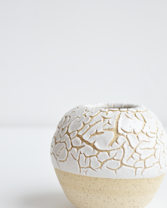 Juan Villavicencio Vasilla Fracura No. 1