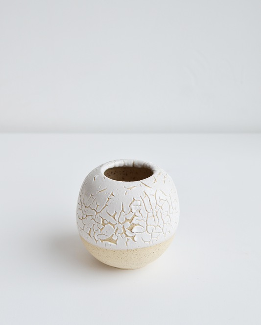 Juan Villavicencio Vasilla Fracura No. 4