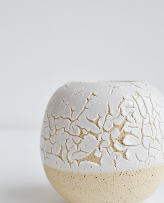 Juan Villavicencio Vasilla Fracura No. 4