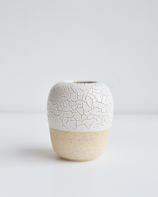 Juan Villavicencio Vasilla Fracura No. 5