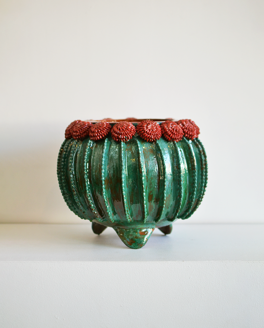 Mano de Tierra - Maceta Biznaga