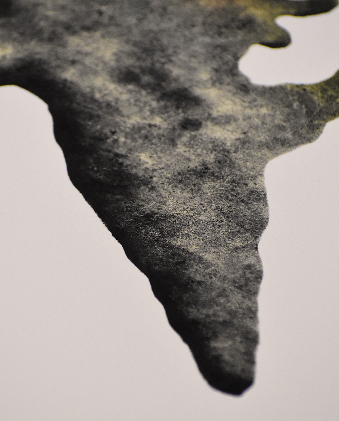 Marco Ochoa - Obra "Oseo"