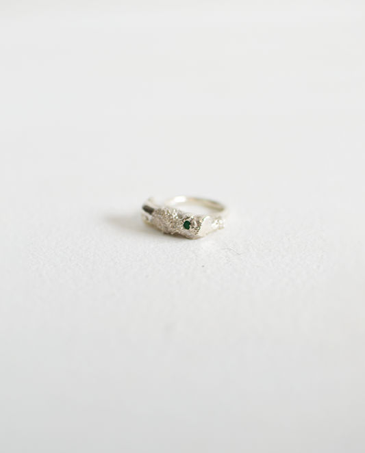 X Anagore Anillo Musgo