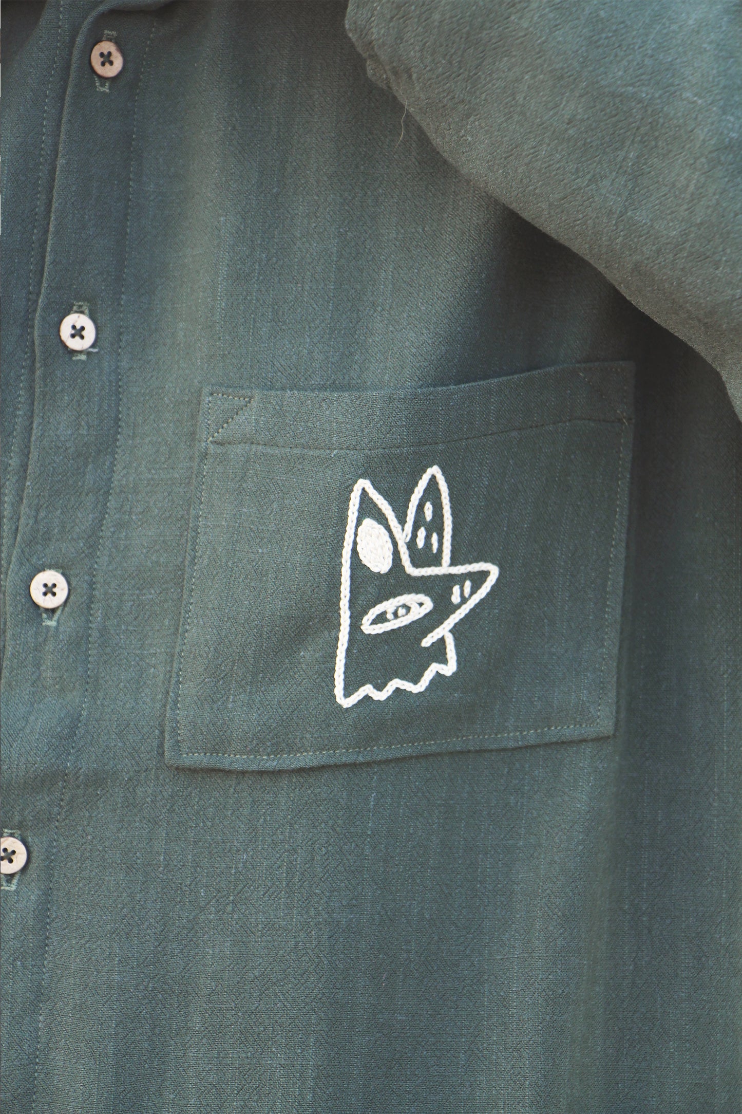 Perro y arena + Isa Guadalupe Camisa Coyote manga larga