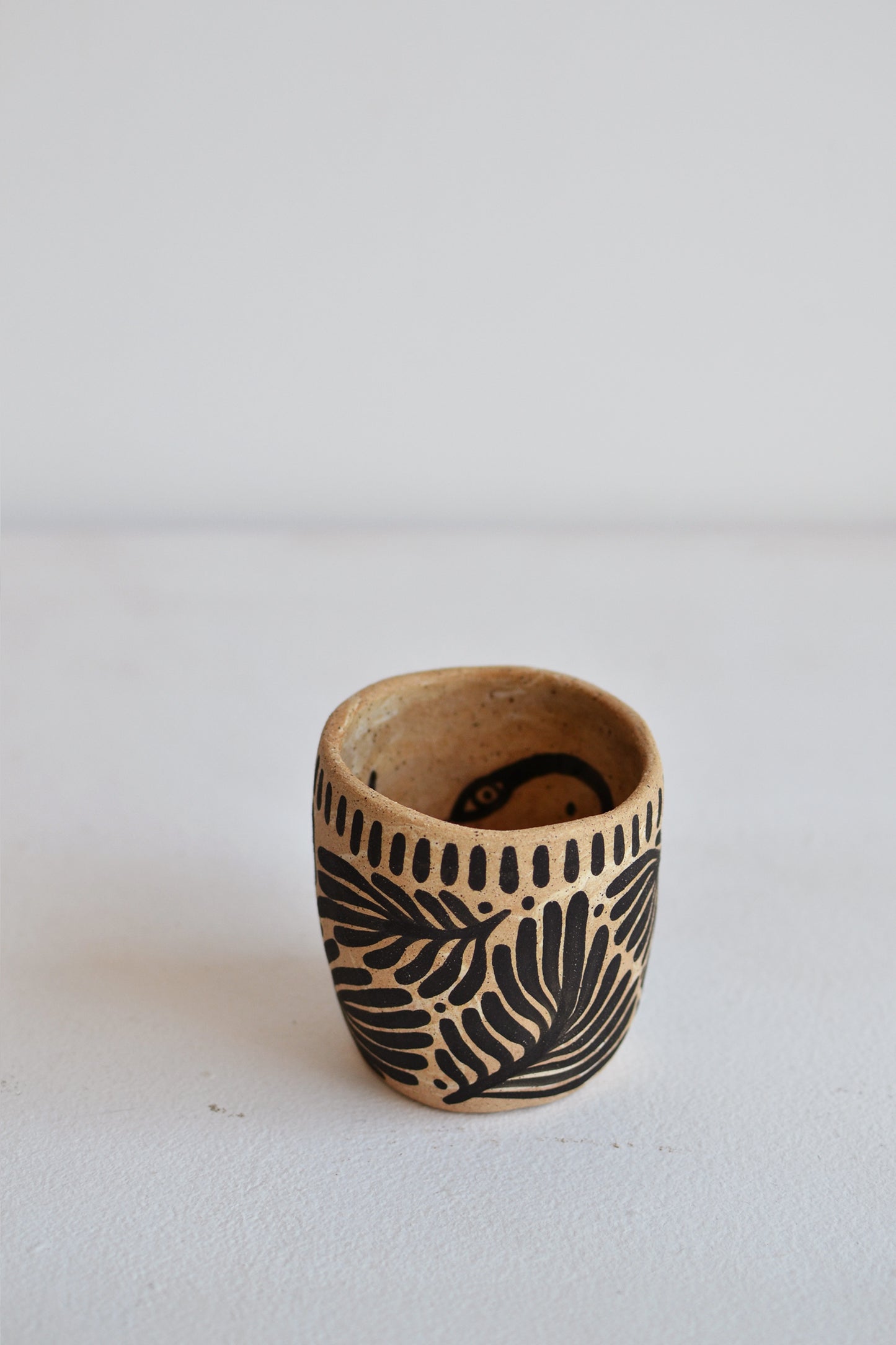 Perro y Arena Vaso 6oz.