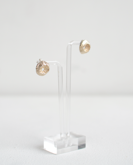 X Anagore Aretes Crater