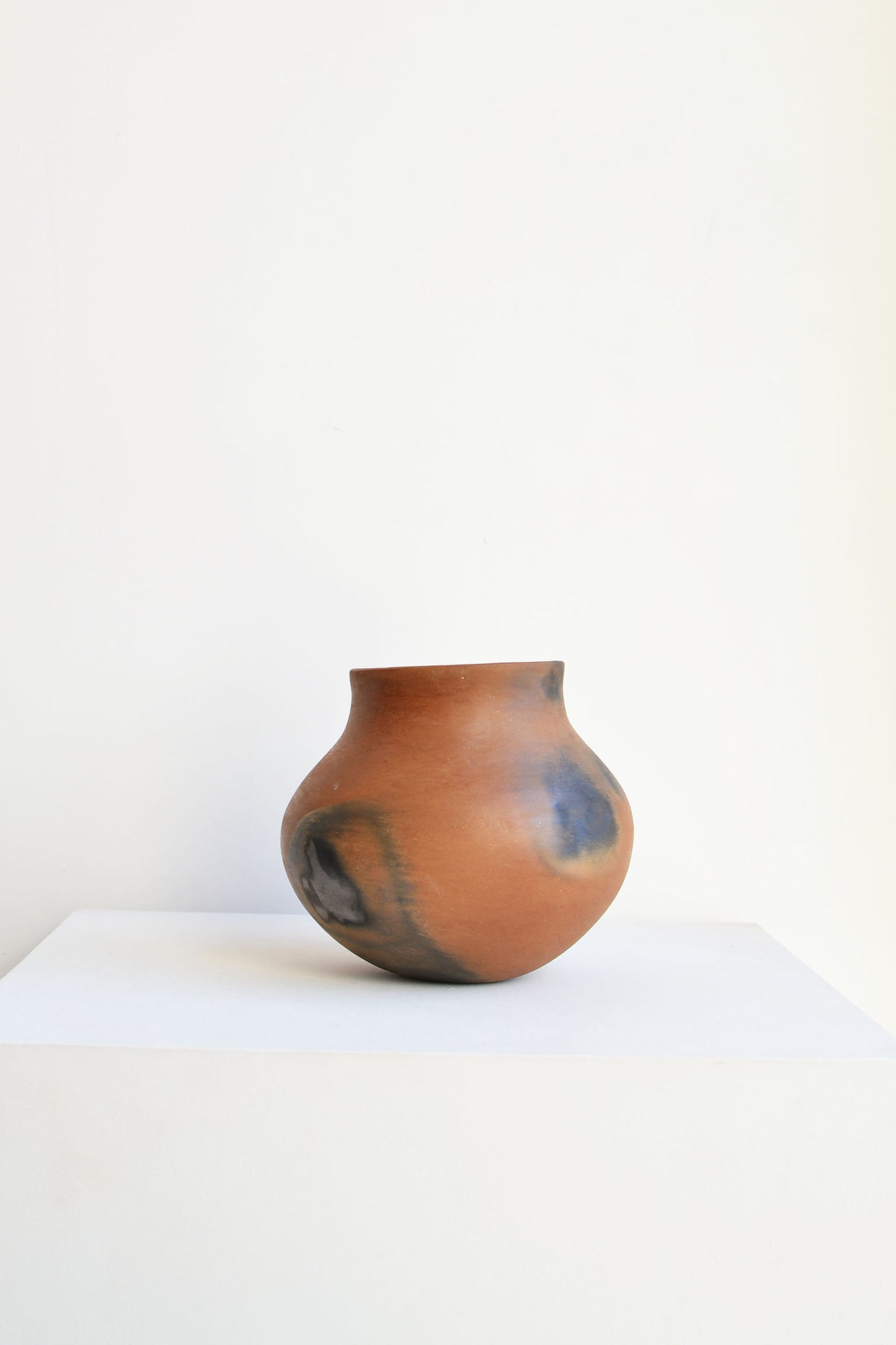 Daria Mariscal - Olla