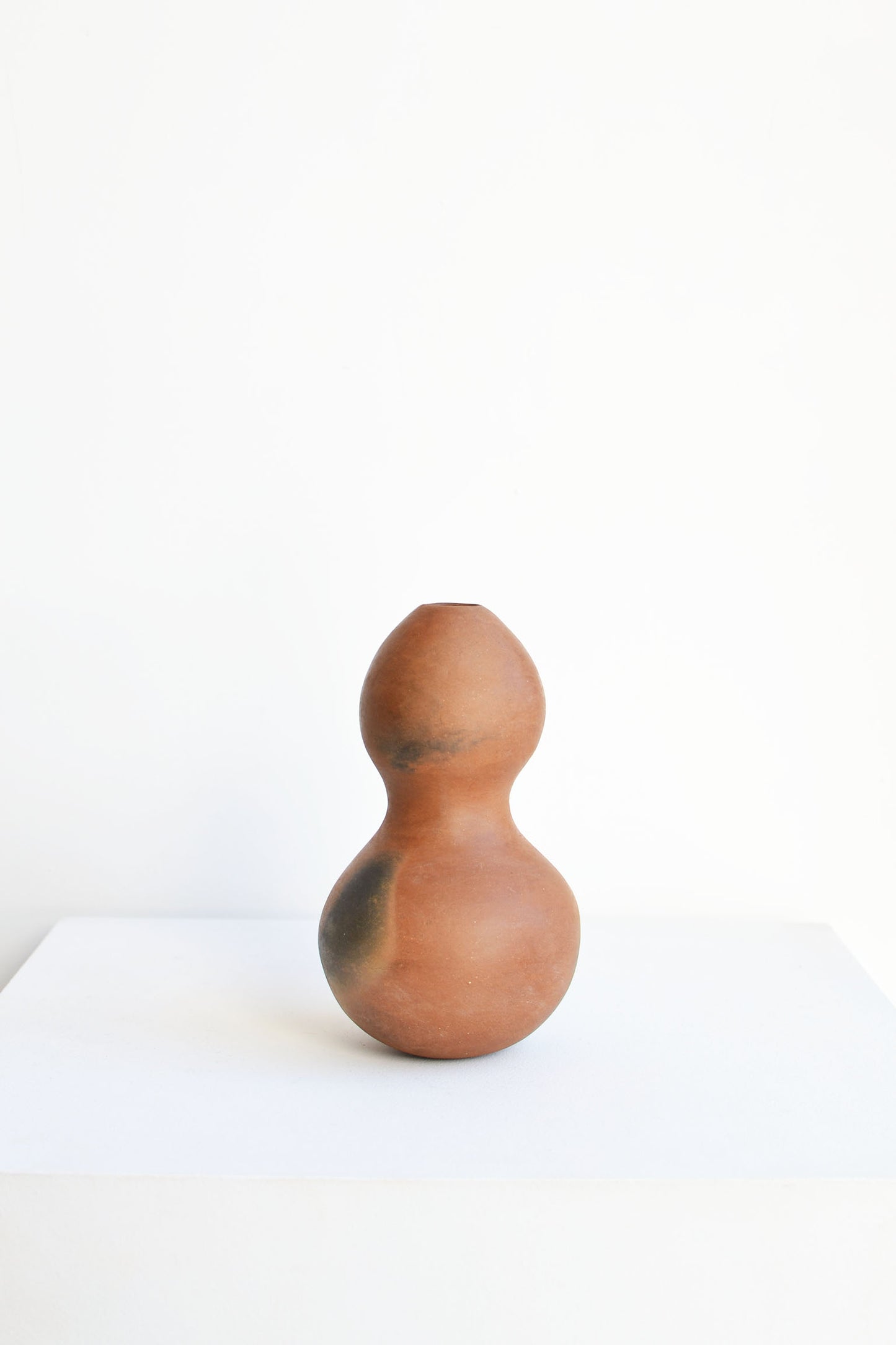 Daria Mariscal - Jarron Bule