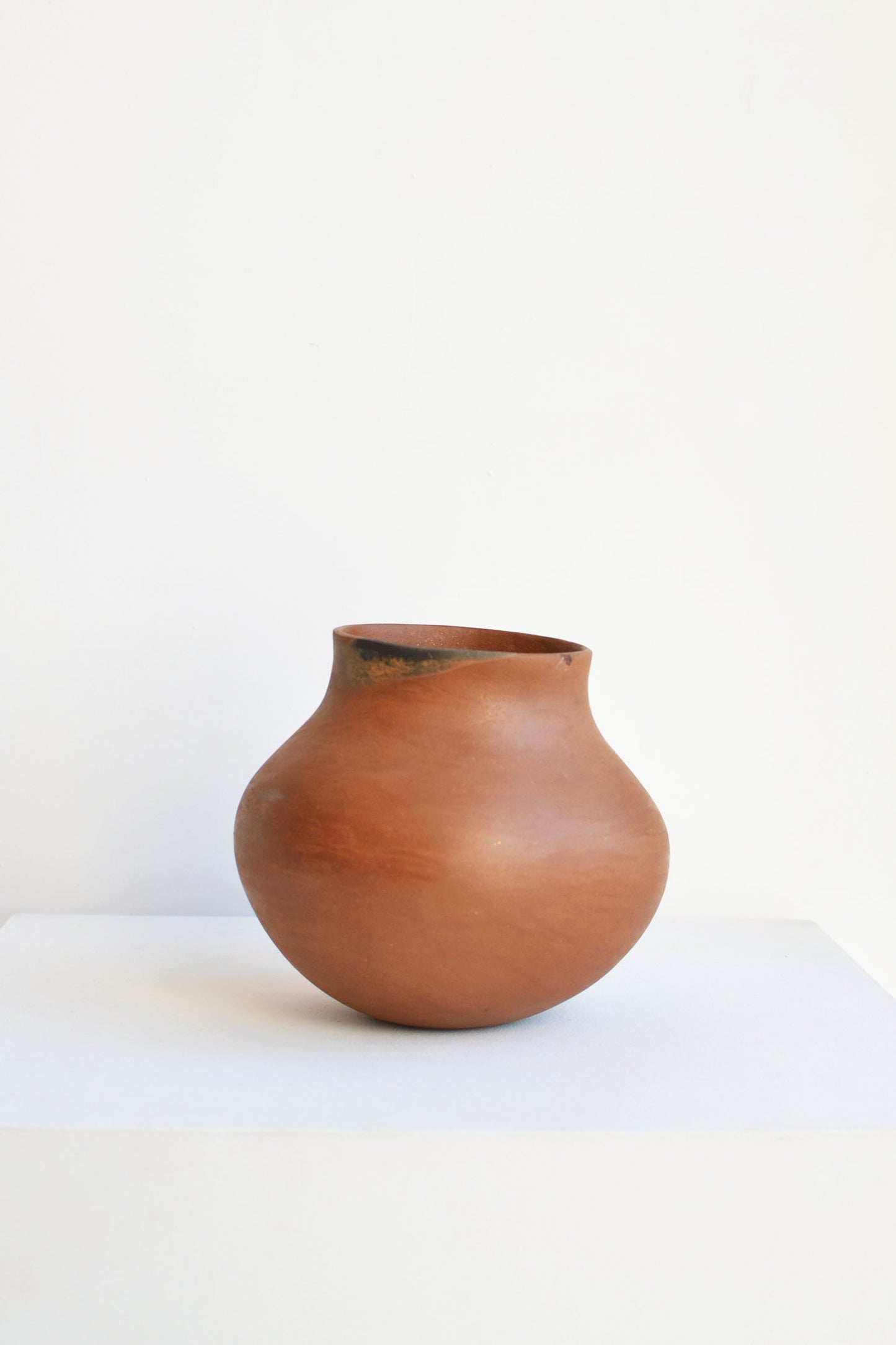 Daria Mariscal - Olla